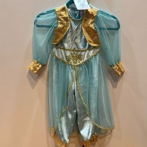 Jasmine from Aladdin costume